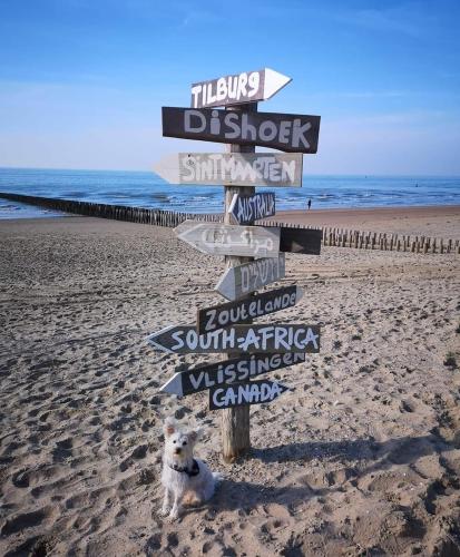 a dog sitting next to a sign on the beach at Chalets op Minicamping Dorpszicht in Gapinge