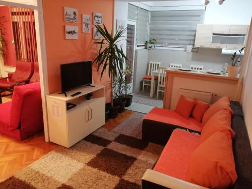ein Wohnzimmer mit einem Sofa und einem TV in der Unterkunft Apartman DUNJA in Vranje