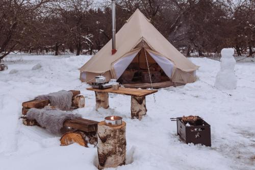 エストニアで人気のラグジュアリーテント10軒 Booking Com
