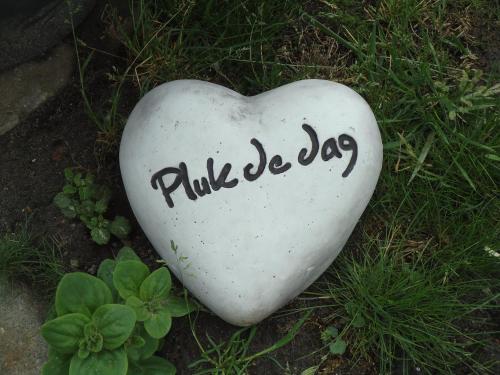 a heart shaped rock with the word palleja written on it at Chalets op Minicamping Dorpszicht in Gapinge