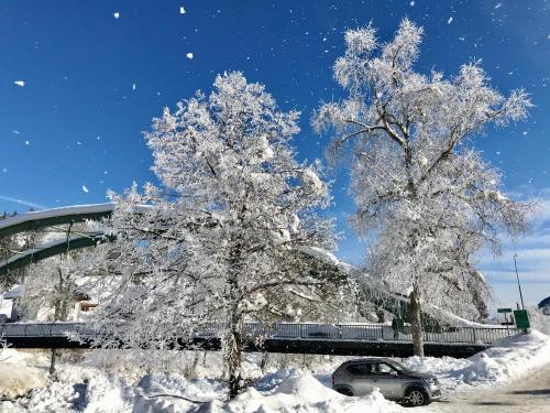 a car parked next to two trees covered in snow at Haus Tilia Karinthië Appartementen in Nötsch