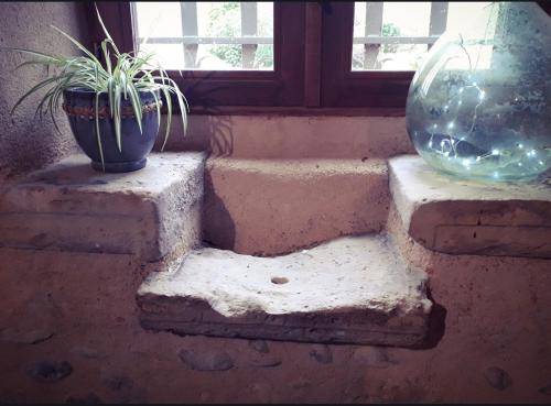 a window sill with a vase and a potted plant at Ecogite Rural La Cle des Champs in Peyrelongue-Abos