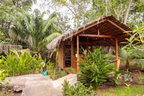 Zahrada ubytování Bungalows Aché Cahuita