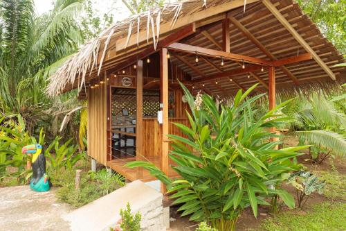 Zahrada ubytování Bungalows Aché Cahuita