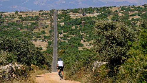 a person riding a bike down a dirt road at Terra Park SpiritoS in Kolan
