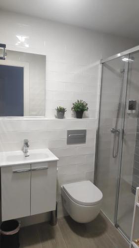 a white bathroom with a toilet and a shower at Carmen Alta in Tudela