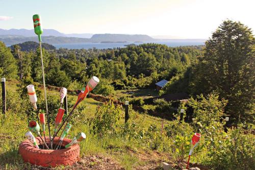 a pot of golf clubs on top of a hill at Cabañas Rapallo in Licán Ray