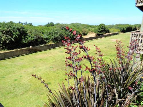 a plant with red flowers in a yard at The Polynesian Resort in Ocean Shores