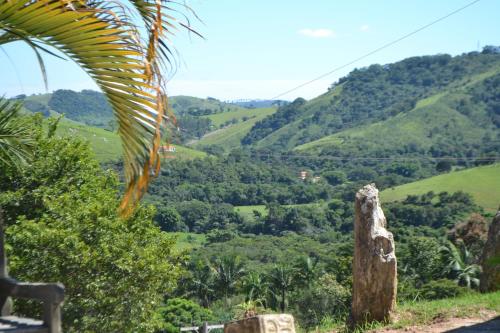 a view of a lush green hillside with a palm tree at Pousada Colonetti in Lindóia