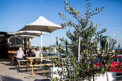 a tree in front of a table with an umbrella at Shoreline Hotel in Hobart