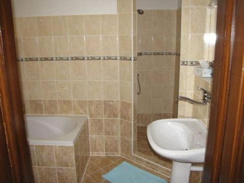 a bathroom with a shower with a sink and a toilet at Zámok u Grofa in Nitra