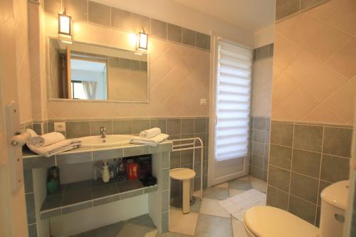 une salle de bain avec un lavabo, des toilettes et un miroir dans l'établissement La villa Acacia, à Coti-Chiavari