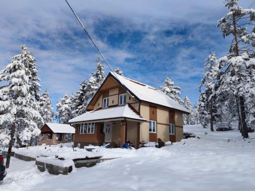 a house in the snow with snow covered trees at Apartmani MILOSAVLJEVIĆ Divčibare in Divčibare