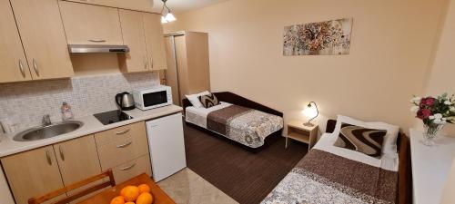Cuina o zona de cuina de Apartamentai Vyta
