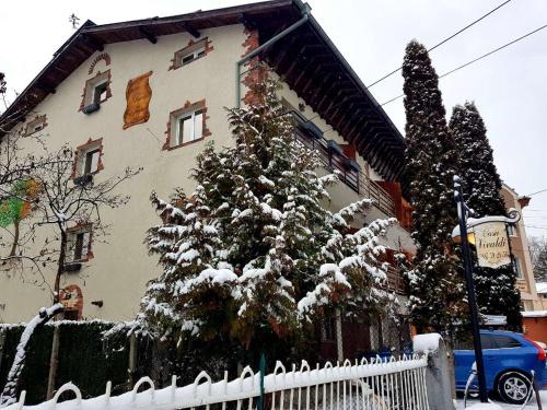 un árbol de Navidad cubierto de nieve frente a una casa en Casa Vivaldi en Velingrado