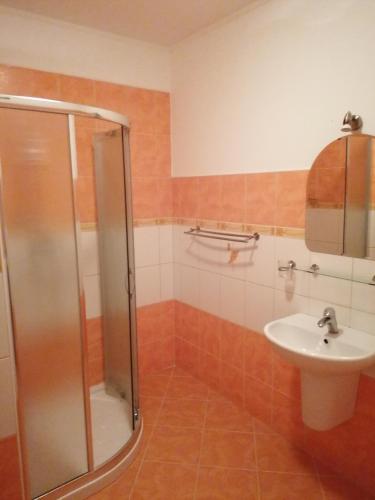 a bathroom with a shower and a sink at Penzion Na Kopečku in Česká Lípa