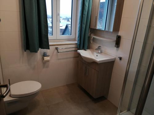 a bathroom with a toilet and a sink and a window at Hotel im Gässle in Süßen