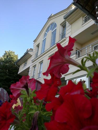 a bunch of red flowers in front of a building at B&B Vila Vidikovac in Arandjelovac
