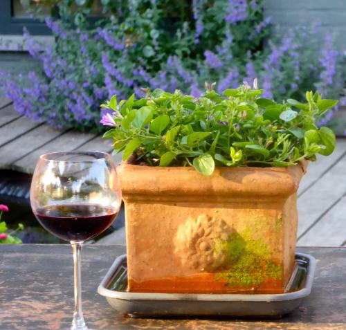 a glass of red wine next to a potted plant at De Epicurist in Hasselt