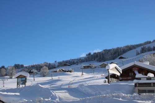 Φωτογραφία από το άλμπουμ του Chalet Hotel Le Mont Bisanne σε Crest-Voland