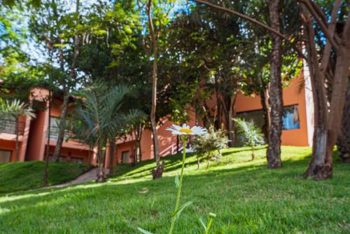 a flower in the grass in front of a house at Pousada Mandala do Vale in Vale do Capao