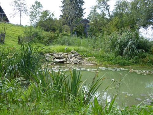 Ferienhof Hiemer – Photos 3