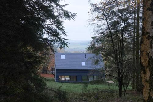 a blue house in the middle of a forest at Chalet d'Orti in Sainte-Ode
