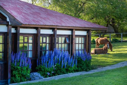 Gallery image of Estancia Cerro Guido in Torres del Paine