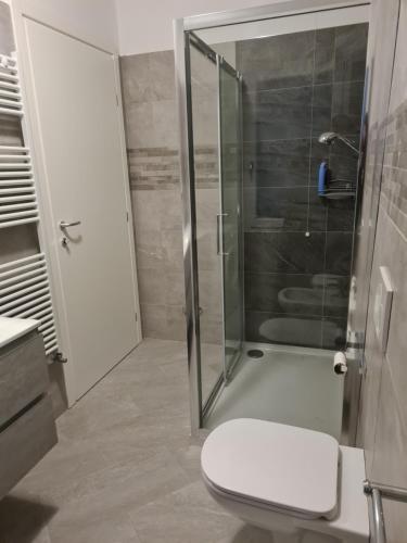 キオッジャにあるVenice Travelのバスルーム(ガラス張りのシャワー、トイレ付)
