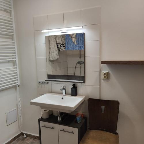 a bathroom with a white sink and a mirror at Apartmán Špacír in Velké Pavlovice