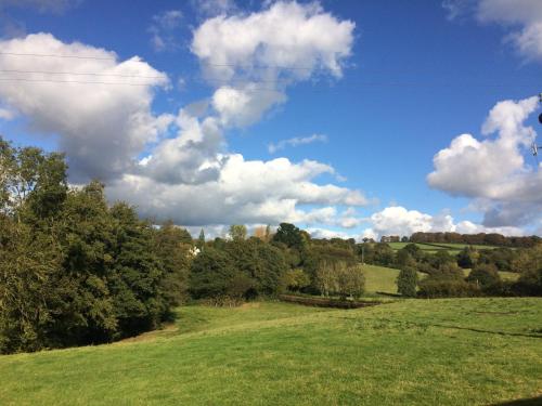 a green field with trees and a cloudy sky at Pound Farm Holidays - Orchard Lodge in Cullompton