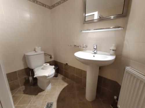 a bathroom with a sink and a toilet and a mirror at Kalloni Beach Villas in Skala Kallonis