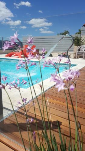 a swimming pool with purple flowers in front of it at Alamo Hotel in Villa Carlos Paz