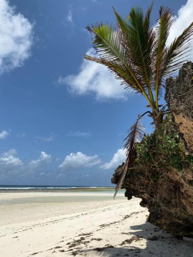a palm tree sitting on a sandy beach at Romantic Beach House Vipingo in Vipingo
