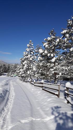 a snow covered road with trees and a fence at vila Borova glava in Zlatibor