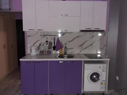 ポモリエにあるParus 4 Studioのキッチン(紫色のキャビネット、洗濯機付)