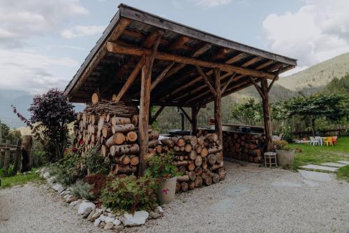 un mucchio di tronchi davanti a un capannone di legno di Natur Appartments Riesen a San Lorenzo di Sebato