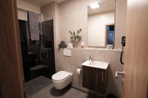 a bathroom with a toilet and a sink and a shower at Motel Q in Rottweil