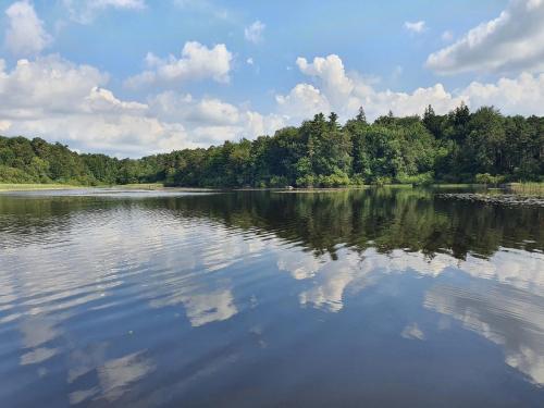 a large body of water with trees in the background at A l'Ecole Buissonnière, chambre d'hôtes en Sidobre in Lacrouzette