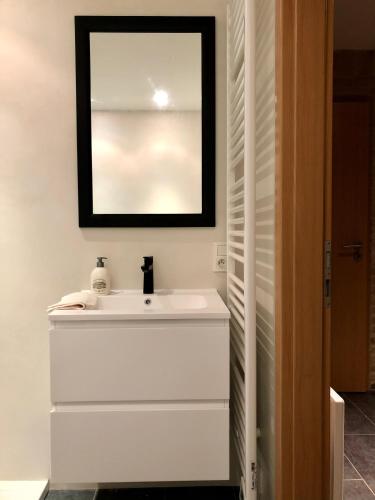 a bathroom with a white sink and a mirror at Nieuwendamme 80 in Nieuwpoort
