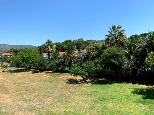 Gallery image of Villas Alexandra Skiathos in Skiathos Town
