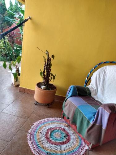 a room with a chair and a plant and a rug at Hospedaria Namastê in Peruíbe