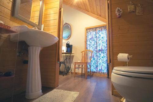 a bathroom with a sink and a toilet at Tucker Peak Lodge in Julian