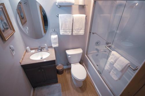 a bathroom with a shower and a toilet and a sink at Tucker Peak Lodge in Julian