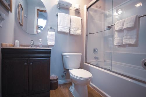 a bathroom with a shower and a toilet and a sink at Tucker Peak Lodge in Julian
