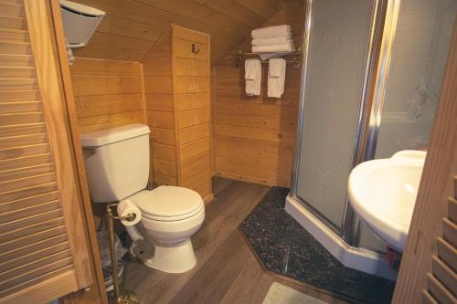 a bathroom with a toilet and a sink at Tucker Peak Lodge in Julian