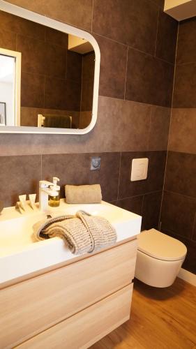 La salle de bains est pourvue d'un lavabo, de toilettes et d'un miroir. dans l'établissement Appartements Les Rochelais, à La Rochelle