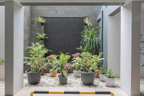 a row of potted plants on a floor with a wall at RedDoorz Plus @ Cirebon City Center in Cirebon