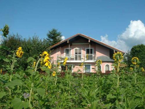 a pink house behind a field of sunflowers at Haus Obermayer in Laufen