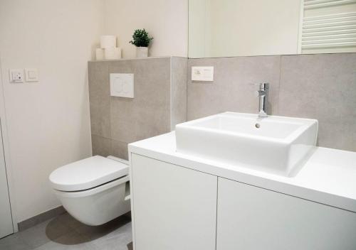 Imagen de la galería de Smartflats - Antwerp View, en Amberes